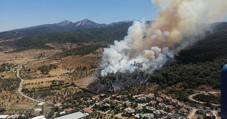 İzmir’deki 3 yangında 25 hektar alan zarar gördü