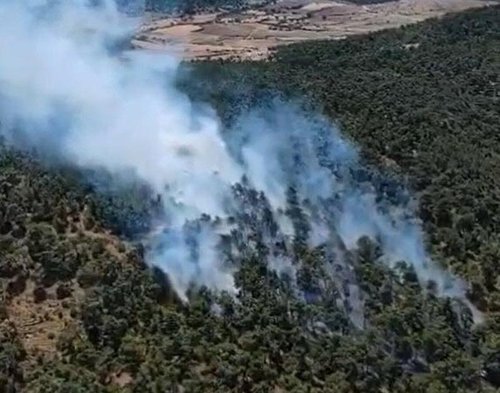 Balıkesir’deki orman yangını kontrol altında