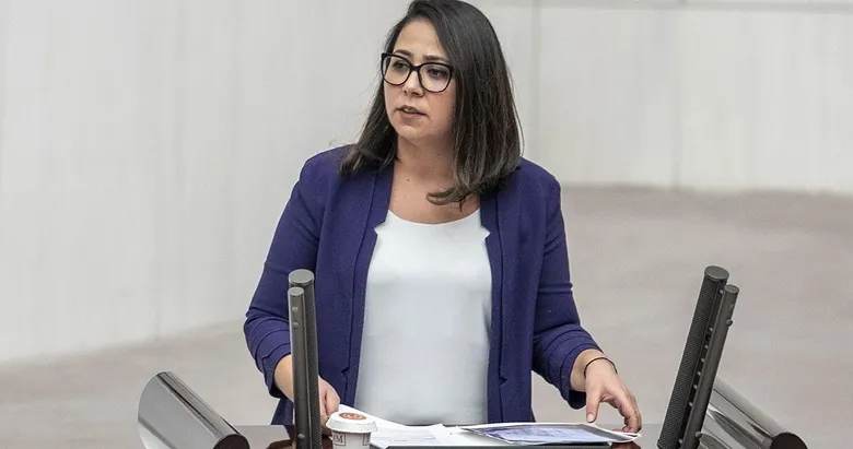 Saliha Sera Kadıgil hakkında Cumhurbaşkanına hakaret ve tehdit suçlarından soruşturma