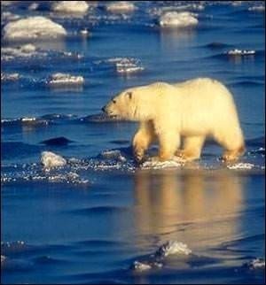 Dünyanın en ilginç kahininden korkunç kehanet