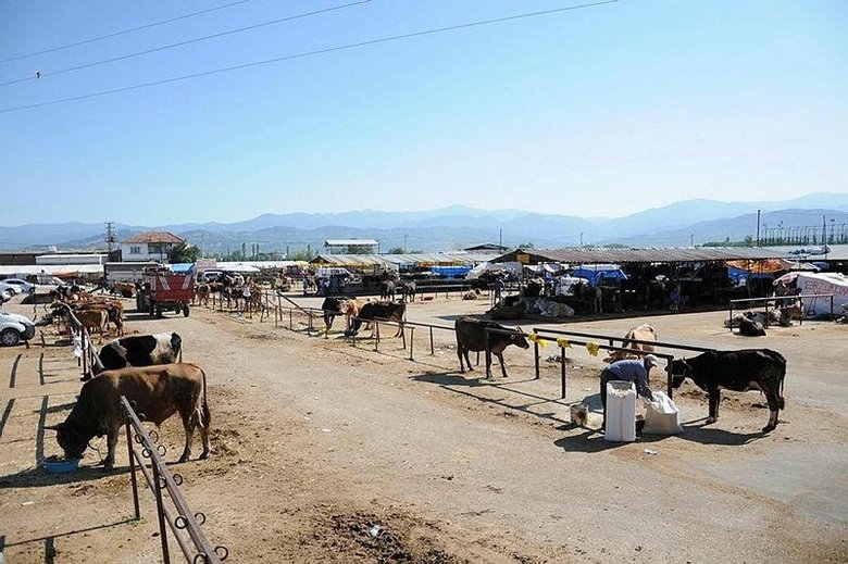 Uzmanlardan kurban bayramı için koronavirüs uyarısı!