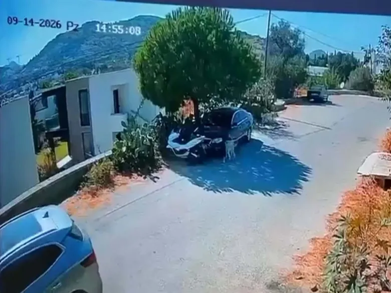 mugla-bodrumda-kan-donduran-goruntu-iki-kopegin-uzerinden-gecip-yoluna-devam-etti-1789756086814.jpeg