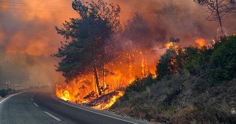 Çeşme ve Selçuk’ta da yangın! Kuşadası’na da sıçradı