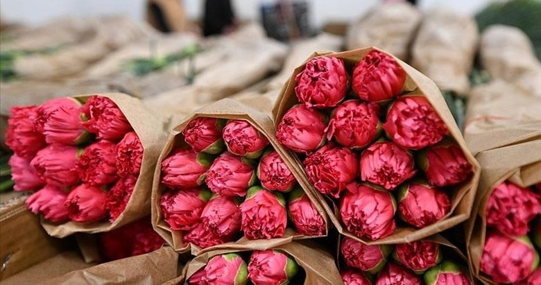 Türkiye’den Sevgililer Günü için 75 milyon dal çiçek ihracatı