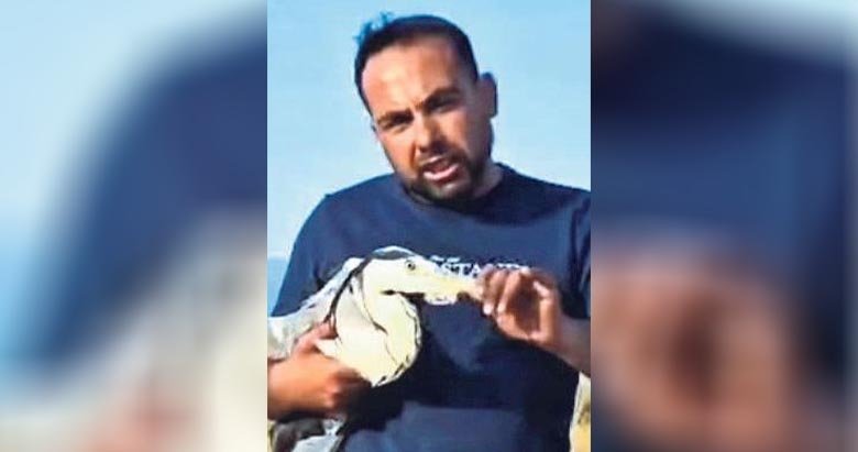 Kanadı kırık balıkçıl Ege sivesi ile sakinlesti