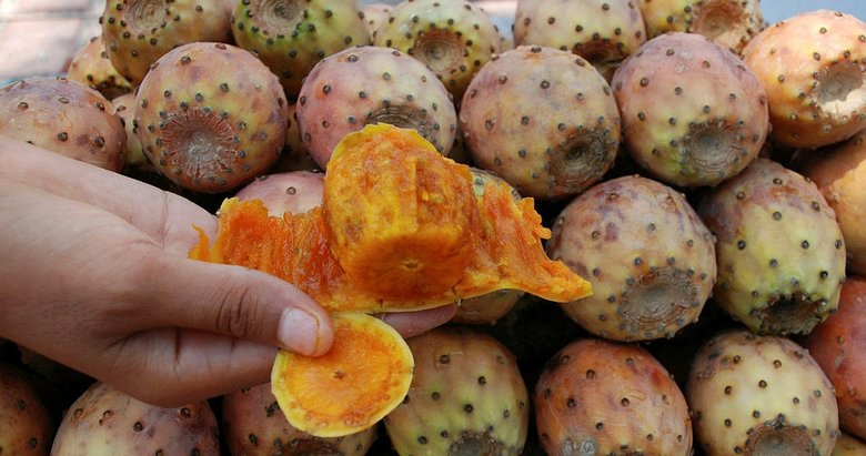 Fethiye’de dikenli incir tane ile satılıyor