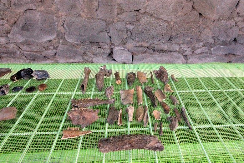 8 bin yıllık geçmişe ışık tutacak! Tavşanlı Höyük’te ilk kazı başladı