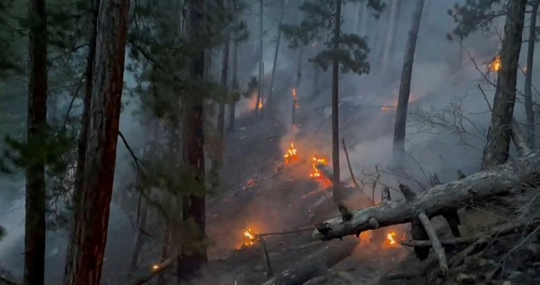 Denizli’de çıkan orman yangınına müdahale ediliyor
