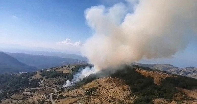 İzmir Karabağlar’da orman yangını!
