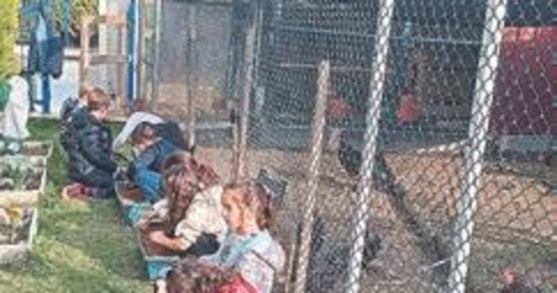 TED İzmir Koleji GES projesini tamamladı