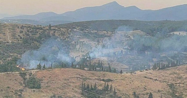 İzmir Gaziemir’de orman yangını çıktı