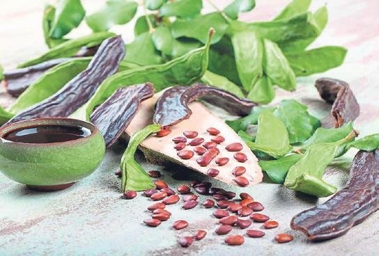 Akciğeri temizleyen çaylarla taze bir nefes