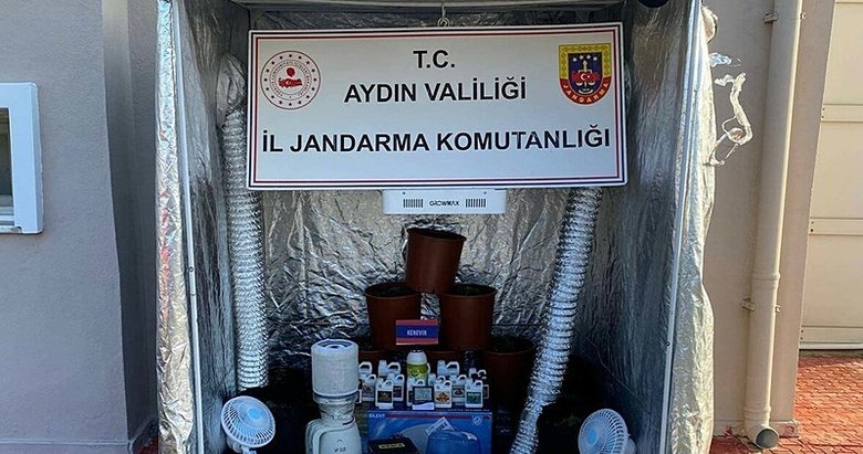 Bu kadarı da ’pes’ dedirtti! Evinde iklimlendirme çadırı kurup, uyuşturucu yetiştirmiş