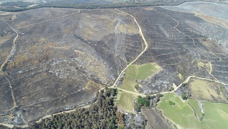 Çanakkale yangınında ön soruşturma tamamlandı… Çıkış nedeni belli oldu!