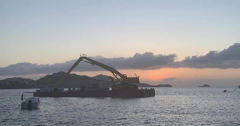 Bodrum Da Bir Garip Olay Kepce Denize Daldi Sanal Basin