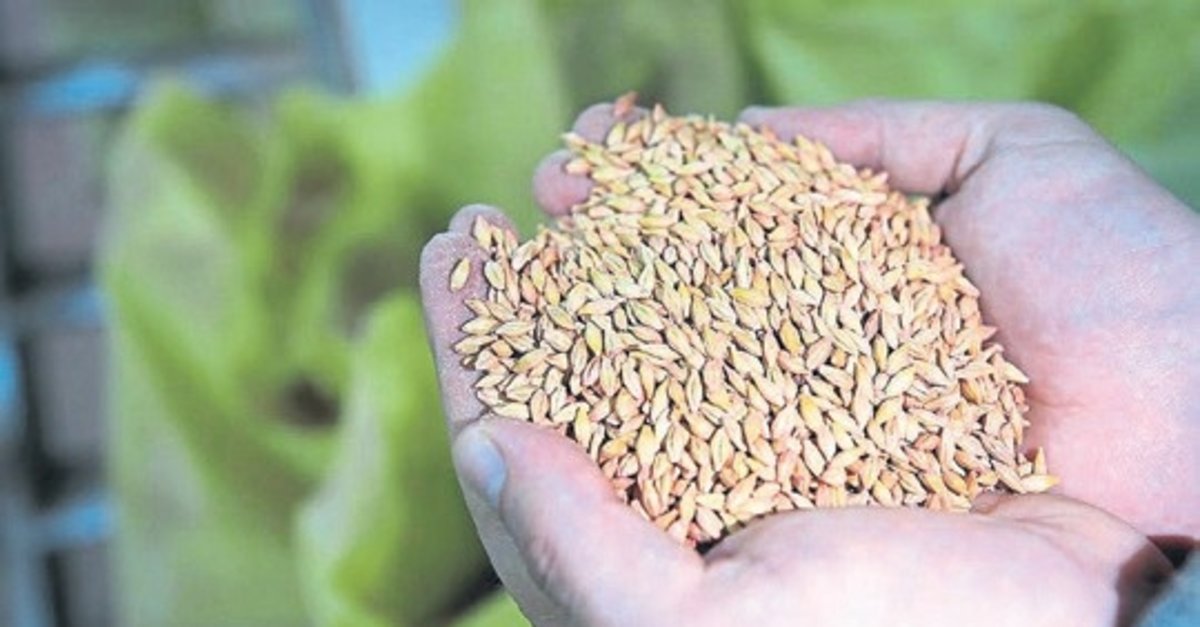 Yulaf ithalatında gümrük vergisine indirim getirildi