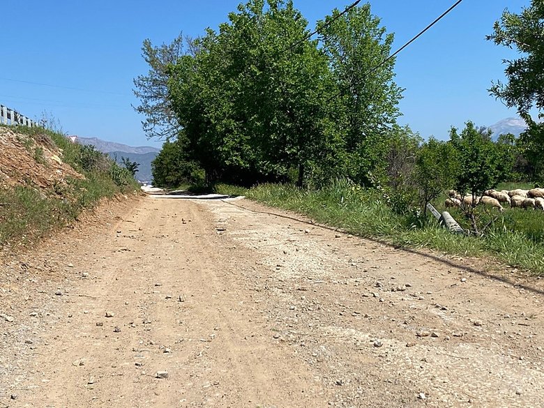 Denizli’de feci kaza! Elektrik direğine çarpan otomobilde 2 ölü 1 yaralı