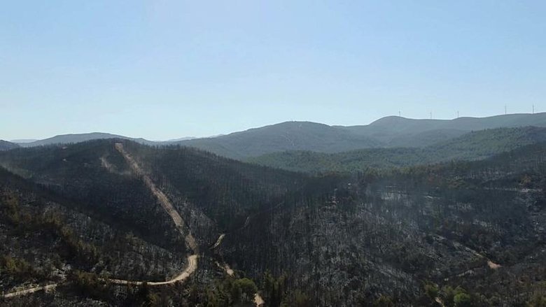 İzmir’de ciğerlerimiz yanmıştı! Menderes’teki orman yangınında 1 tutuklama