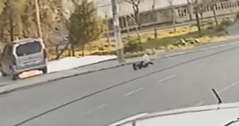 İzmir’de sokak köpeği dehşeti! Sokakta yürüyen çocuğa saldırdı