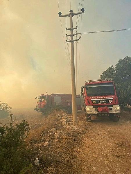 Muğla Milas’taki yangın kontrol altında