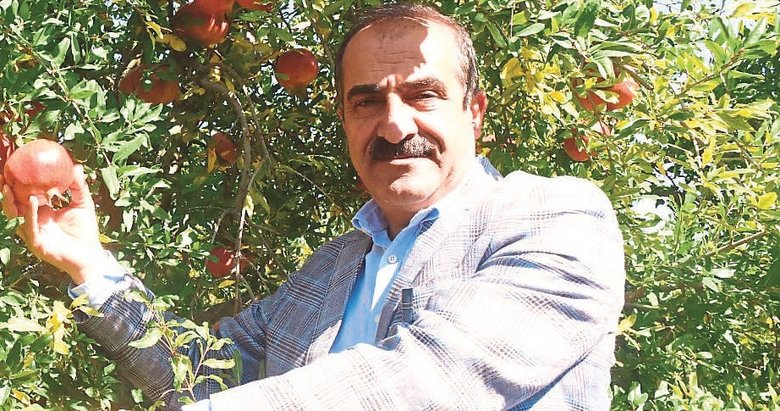 Pazar tezgahından ülke şampiyonluğuna