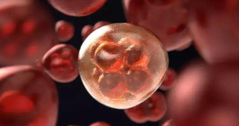 Çaresiz değilsiniz! Sessiz düşmanla mücadele: Kanser