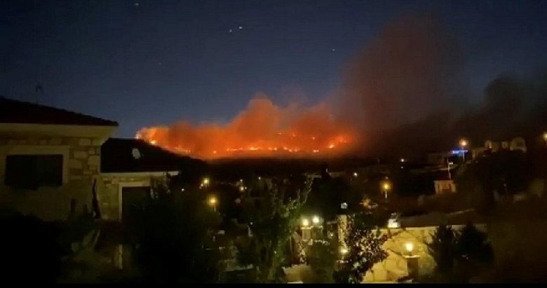 İzmir Foça’da orman yangını!