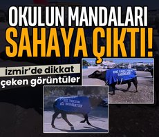 İzmir sokaklarında mandalı protesto!