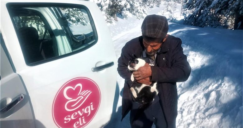 Aç kalan vaşak ilçe merkezine indi kediyi parçaladı