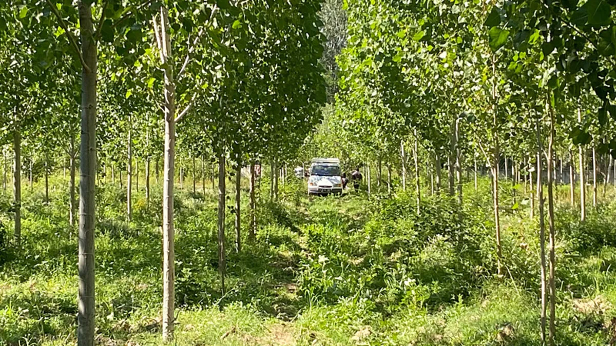 Yoldan geçenler durumu fark etti: Kavaklık alanda cansız beden bulundu