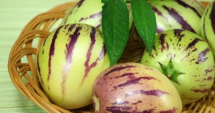 Pepino nedir? Kan şekerini dengeleyen leziz enerji deposu pepino meyvesinin faydaları nelerdir?