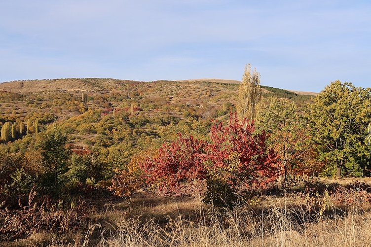 Aydın dağları güz renklerine büründü