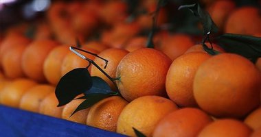 Portakal çekirdeğini sakın çöpe atmayın! Öyle bir faydası var ki...