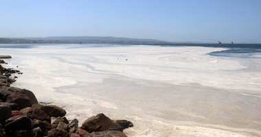 Çanakkale Boğazı deniz salyası ile kaplandı 