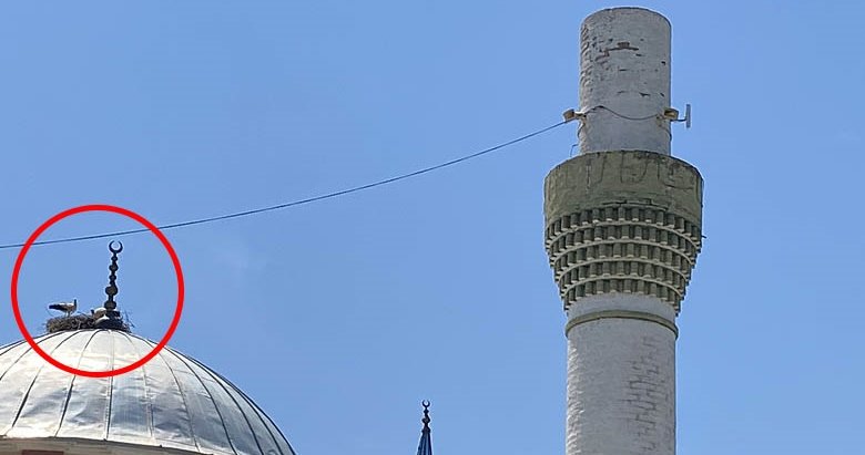 Minarenin külahı fırtınaya dayanamadı! Kurtulan leylekler mahallelinin tesellisi oldu