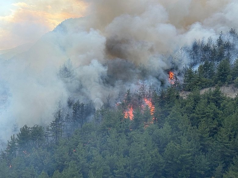 Karabük’te orman yangını çıktı: Ekipler müdahale ediyor
