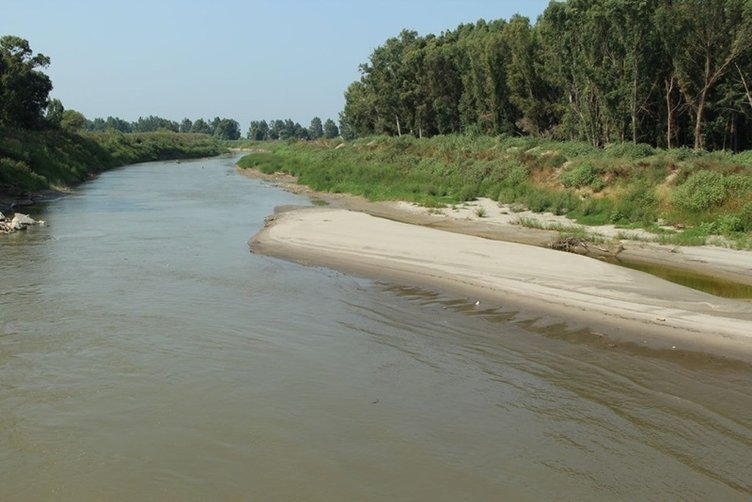 Büyük Menderes Nehri’nde ’biyolojik bomba’ alarmı