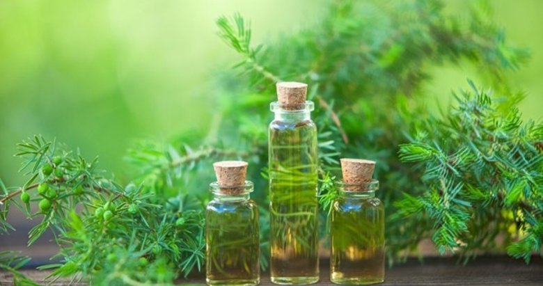 Çay ağacı yağının faydaları nelerdir?