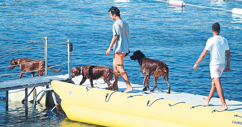 Patili dostların tatil manzarala