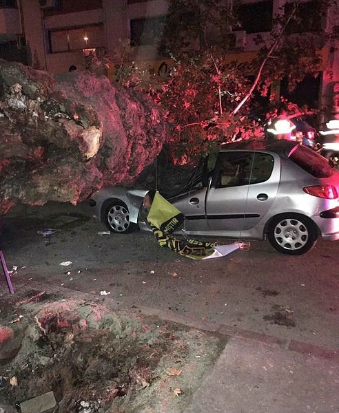 İzmir Konak’ta ağaç devrildi! 1 kişi yaralandı