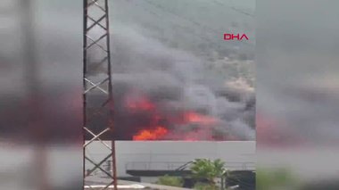 İzmir’de otluk alandaki yangın palet fabrikasına sıçradı