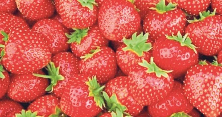 Türk çileği 4 ayda dünya pazarında değerini katladı