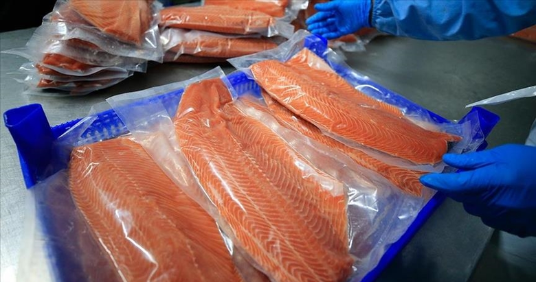 Türk somonu ihracatı 91 milyon doları aştı
