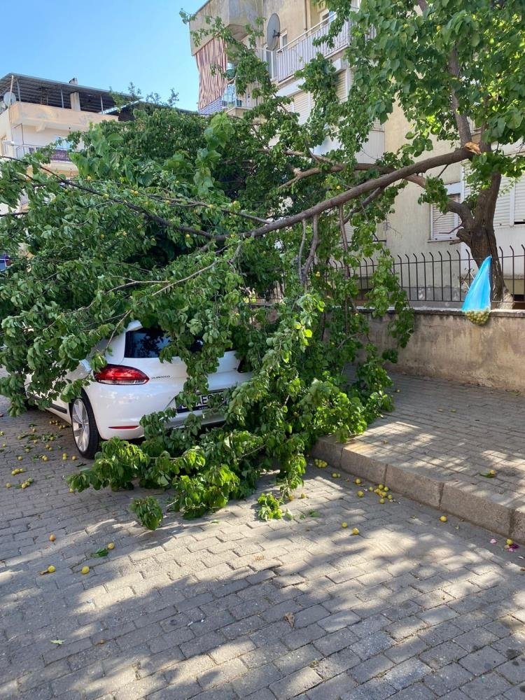 Aydın’da etkili olan fırtına ortalığı birbirine kattı