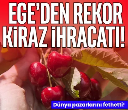 Ege’den rekor kiraz ihracatı! Dünya pazarını fethetti