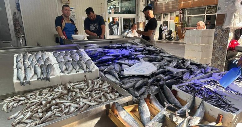 Palamut bolluğu yaşanıyor: Fiyatlar 80 liraya düştü