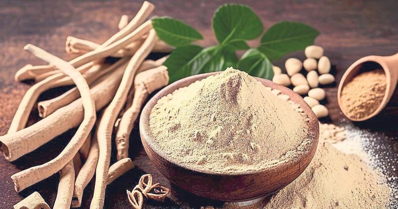 Kadim bir bitki: Ashwagandha