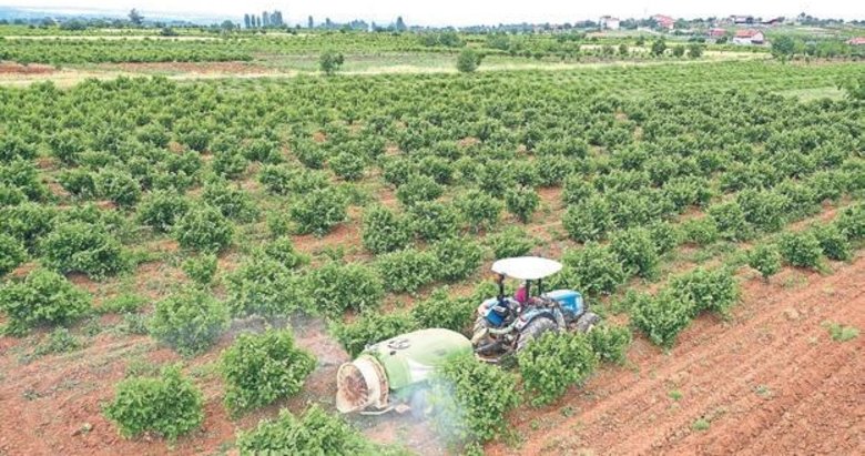 Büyükşehir destekledi Denizli’de üretim arttı