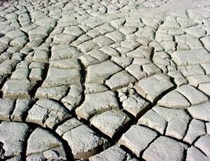 Dünyanın en ilginç kahininden korkunç kehanet
