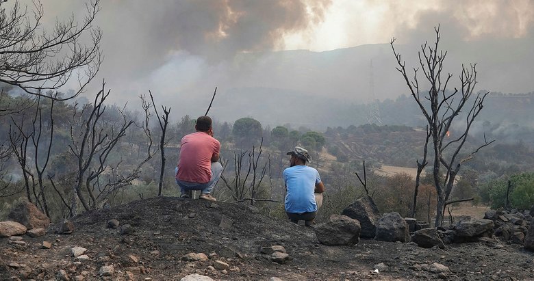 Gelibolu Yarımadası’ndaki yangınla ilgili bir şüpheli gözaltında